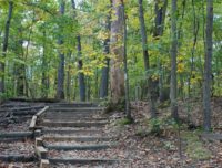 Haddonfield Parks Conservancy